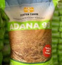 يتوفر بزر حنطه نوع ادنا بنتايه الكميه ٢ طن الاستفسار على الرقم ٠٧٨١١٢٧...