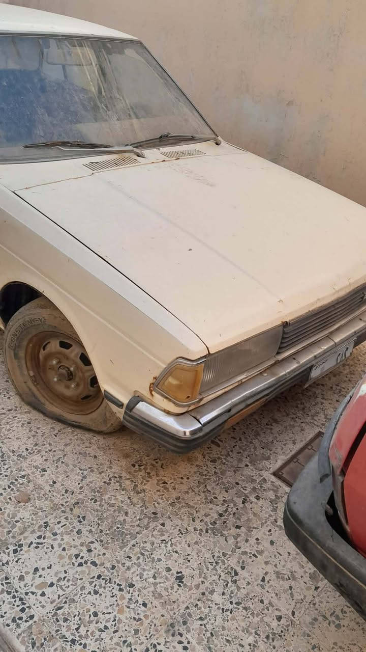 داستن موديل ٨٠ رقمها ٢٨٢ صدامي سعرها ٦٠ وبي مجال ***********
