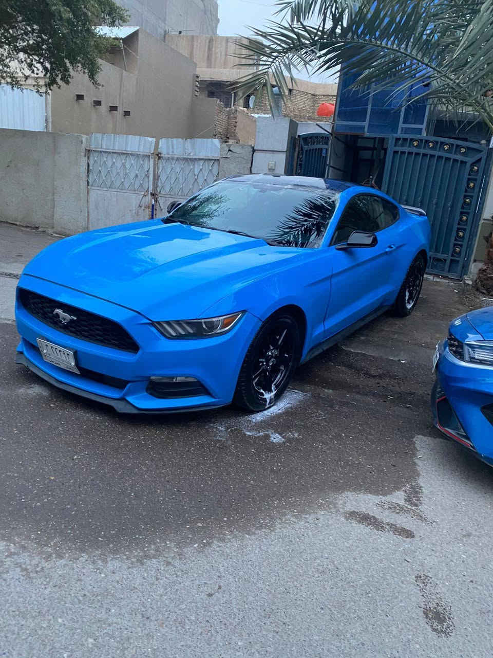 سلام عليكم
موستنك 
موديل 17
محرك V6
كير مكفول 
محرك مكفول 
شاصي مكفول 
لغد مكفول 
السياره بيهه مكينه وكير خرافيات 
ماشيه 55الف 
حادث مال امريكه فقط 
جاملغين وبنيد 
حادث سطحي 
بدون ايرباك فقط مال الرجل طاك 
السعر 149 وبيها مجال انشالله 
*********** للاتصال 
مكان السياره بغداد
