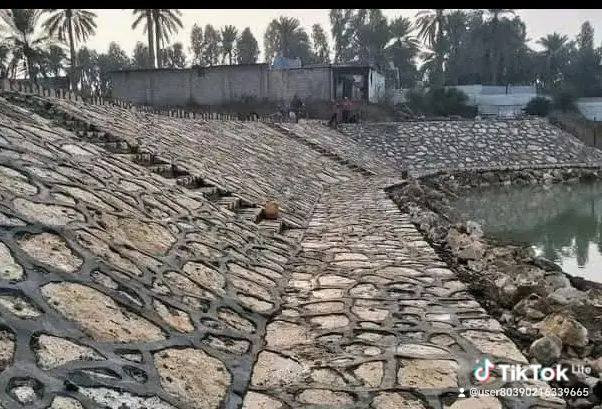 *********** ************
