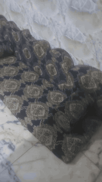 سلام عليكم ديوان للبيع
بغداد مدينه الصدر 
***********
