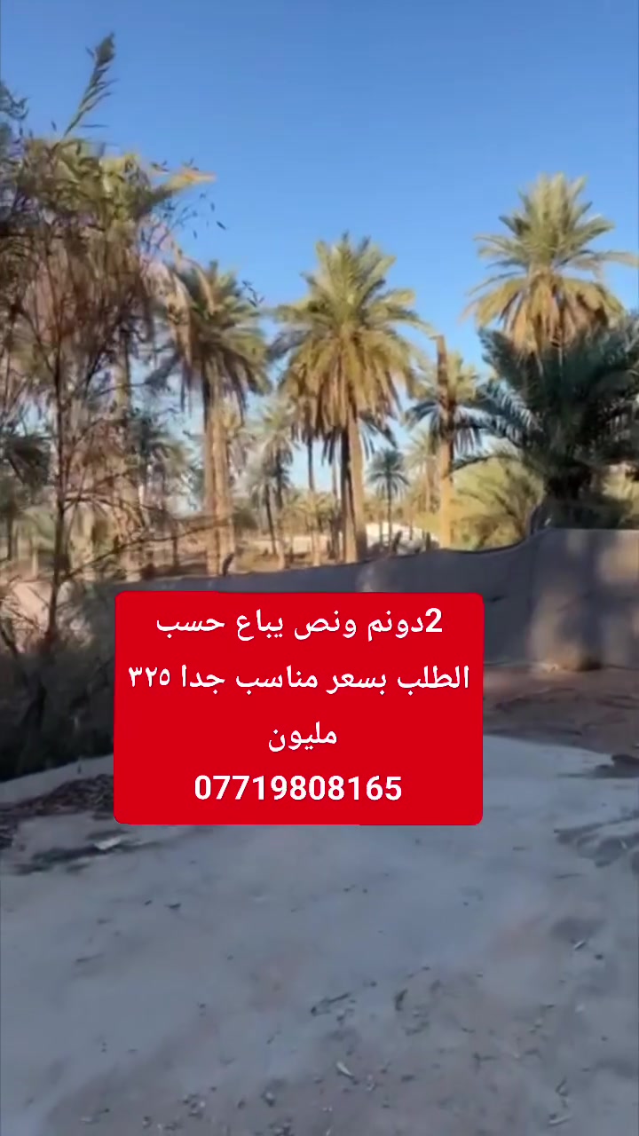السلام عليكم 🤝
بستان للبيع المساحه 2دونم ونص 🌴🌴🌴

واجهيه الارض 70 متر 🌷🌷
طابو زراعي سند 25 تحويل بسم المشتري ✅✅✅
كافه الخدمات متوفره من ماء اساله وماء سقي  الارض بيها 2ابار ماء وكهرباء وتبليط و مولده مدارس منطقه سكنيه وهادى وحلوه 
العنوان كربلاء شارع السيدة زينب منطقه مصطفى خان عامود287 وتدخل. عليه 800 متر 💯💯💯
ملاحظه الارض ينباع منها دونم او نص دونم او٢ دونم 
للأستفسار آكثر الأتصال على أرقآم التأليه 
0️⃣7️⃣7️⃣2️⃣5️⃣9️⃣8️⃣1️⃣9️⃣4️⃣5️⃣ابو باقر
0️⃣7️⃣8️⃣0️⃣8️⃣9️⃣9️⃣8️⃣8️⃣1️⃣8️⃣
0️⃣7️⃣7️⃣1️⃣9️⃣8️⃣0️⃣8️⃣1️⃣6️⃣5️⃣ابو علي وتساب

وكذالك نستقبل جميع العروض لديكم في كافه مناطق كربلاء المقدسه 🌆🌆


**إذا كنت صاحب هذا الإعلان وتريد حذفه لأي سبب، رجاءا أرسل رسالة إلى الدعم الفني**