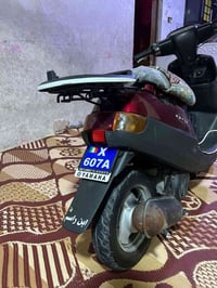 بطة • ٢٠٠٣ • ٦٠