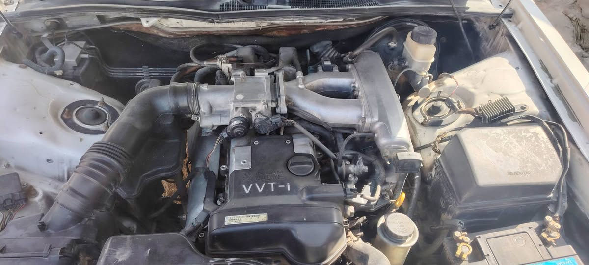 السلام عليكم راس الثور للبيع مكفوله من الكص ونقل جثه شاصي 155 مكينه 3000 فيشتين سنويه اله 27  مداور ثاني يوم السعر 73 وبيه مجال *********** المكان النجف ابوصخير
