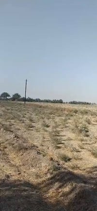 توجد ٣دونم طابو زراعي سند ٢٥ ابو غريب السميلات مثل ما مظح باقي التفاصي...