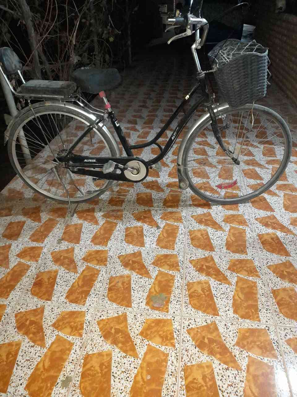 سلام عليكم.  بيسكل للبيع سعر 100وبي. مجل  لل طيبين.  بي مجل على 85رقم هاتف ***********.   بس بي طعج ويل خلفي طعج بسيط
