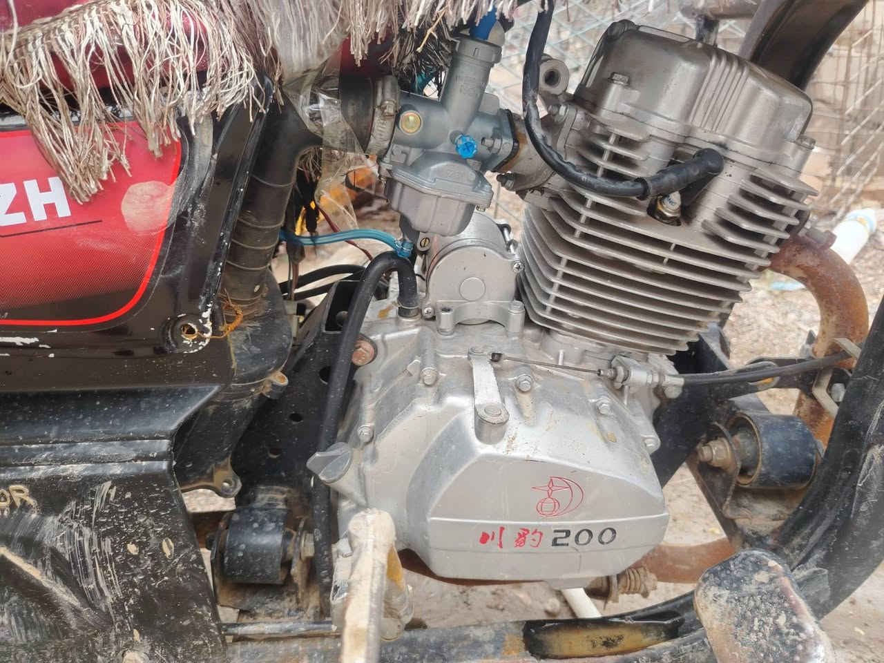 ستوتة ام الطير موديل 2019نضيفة أوراق كاملة مكاني بعقوبة الرقم *********** السعر 800
