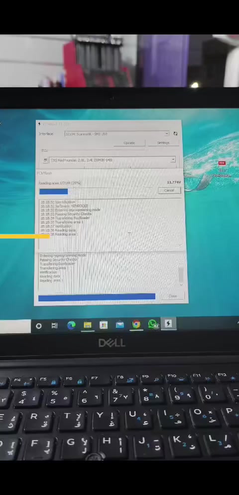 عنوانه الديوانية حي الضباط الأولى مقابل القطاع الصحي
‏‪***********‬‏
‏‪***********‬‏
