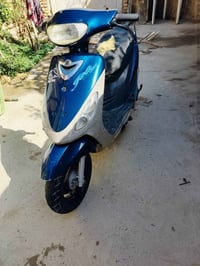 ماكس منغولي • معدل ٤٦٠ • كربلاء طويريج