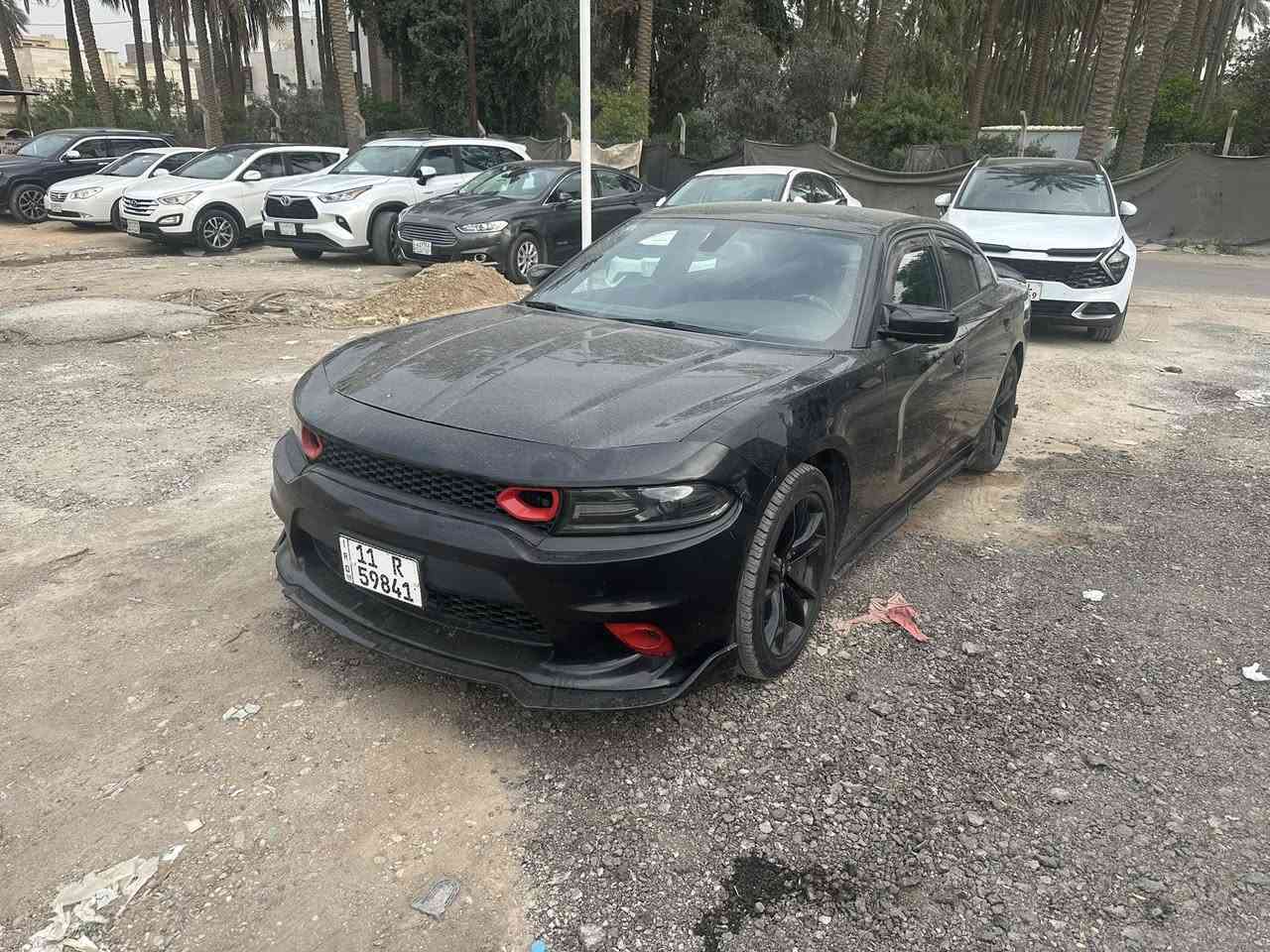 السلام عليكم
السلام عليكم
جارجر امريكي بأسمي
موديل 2016
السعر 168
بدون حادث اكرر بدون حادث
السياره صارللها ٨ سنوات يمي
تشغيل عن بعد
بصمتين 
سنويه جديده رقم جديد هزه جديده
كير محرك تبريد حماوه مكفولات
صدر خلفي جديد
صدر امامي مال هيمي
راديتر ومروحه مال هيمي انسه الحماوه
عليها كت كامل مال SRT
كشنات جلد 
كشنات امامي اثنينهن كهرباء كشنات تدفئه وتبريد الامامي
كشنات الخلفي تدفئه
ستيرن تدفئه
مري قلاب وهيتارت
ويل 20
تراي مالتها من الفاو لزاخو ذهاب واياب 
بيها طخات موجوده بالصور يتعدلن عل بارد
اعتذر عن المرواس بيع فقط
مكاني بغداد الغدير
***********
