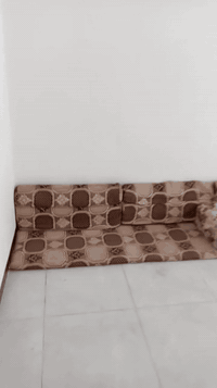 ديوان مستعمل سعره 25 الف وياه تلبيسه هم 25 رقم الهاتف 07806356184