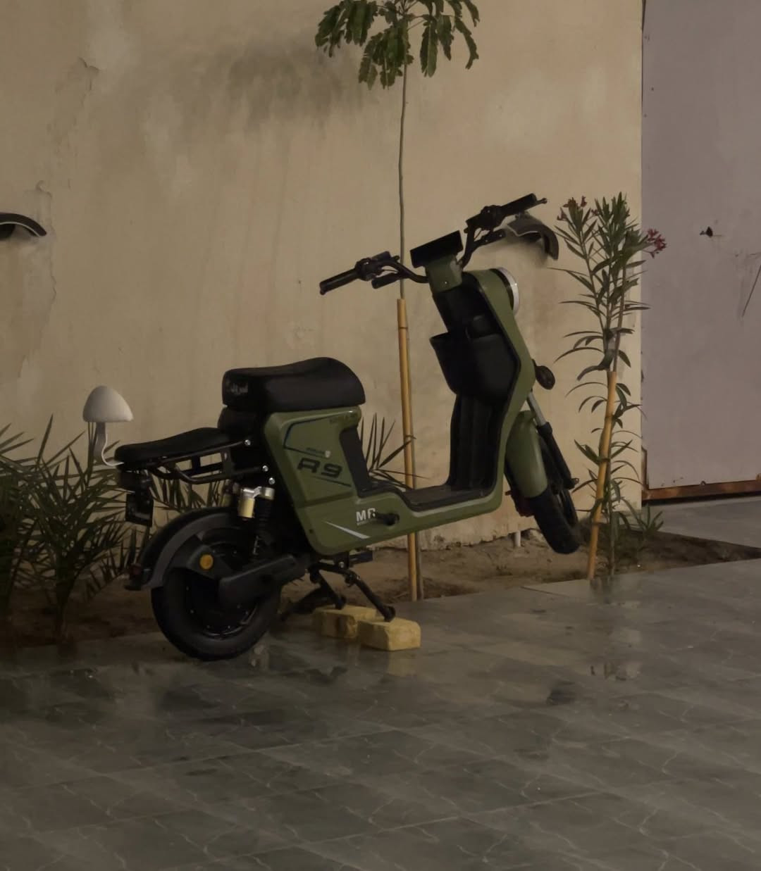 سلام عليك دراجة شحن ار 9تراجه نضيفة كلش للبيع سعرها 450وبيها مجال مكاني بصرة سفان📍✋🏻

***********
