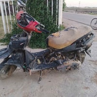 دولفين • يحتاج كفرات • شغله شرط