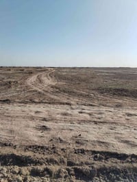 8دونم • طابو باسم المشتري • خلف جامعه بابل