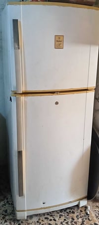 بوب الشام 125 • تجميد فول • ما بيه عطل