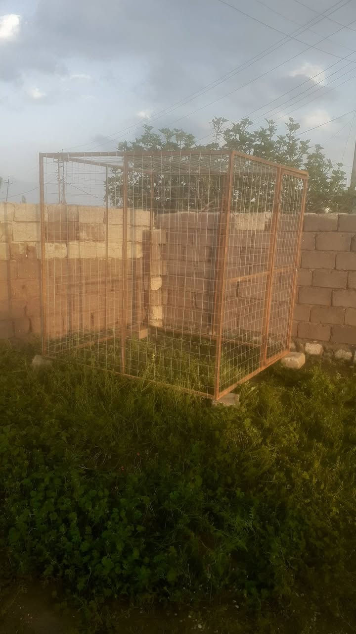 السلام عليكم قفص حديد للبيع فصال الطول ٢م والعرض ٢م والارتفاع ٢م حديد بوري مربع انج وربع القواطع زاوية انج وربع الهسكو الفتحة ٩سم الشيش سماكته ٤ملم جديد طك اتصل على الرقم ***********
