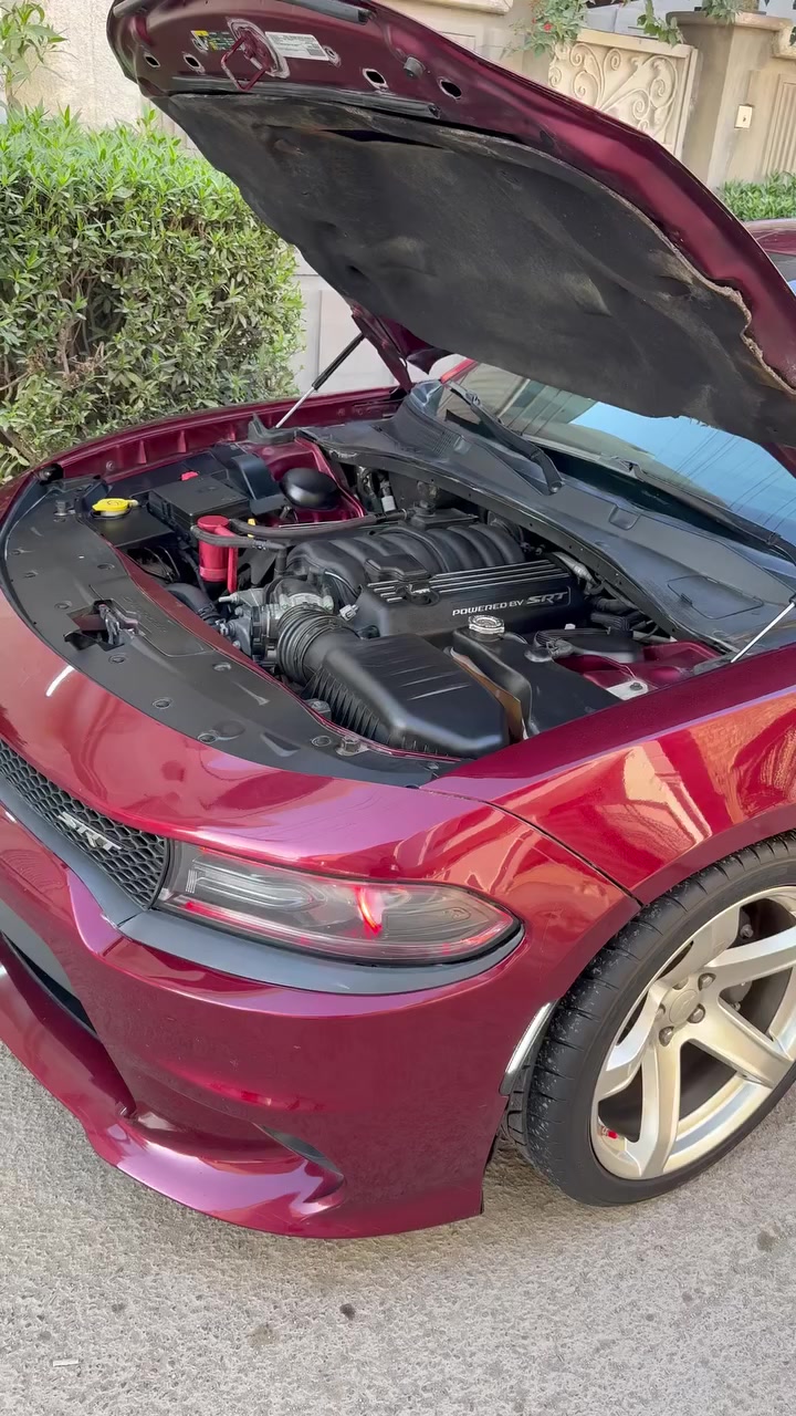 سلام عليكم شباب
جارجر سكات باك للبيع او مراوس 2019 
ماشية 70 الف كيلو مو ميل 
حادثهة قطعتين بدون دواخل جاملغ خلفي من امريكا وبالعراق صار جاملغ امامي وتبدل ونصبغ وربع البنيد انصبغ فقط سيارة جديدة كلش مال بيت 
عليهة دوان بابيب واكس بايب ودبات سود وبيهة بوابات 
وبرمجة سيفتي وولف حماوة ريسنك وبلكات ريسنك 
سعرهة 225 وبيهة مجال مكاني بغداد 
*********** فقط واتساب متواجد
