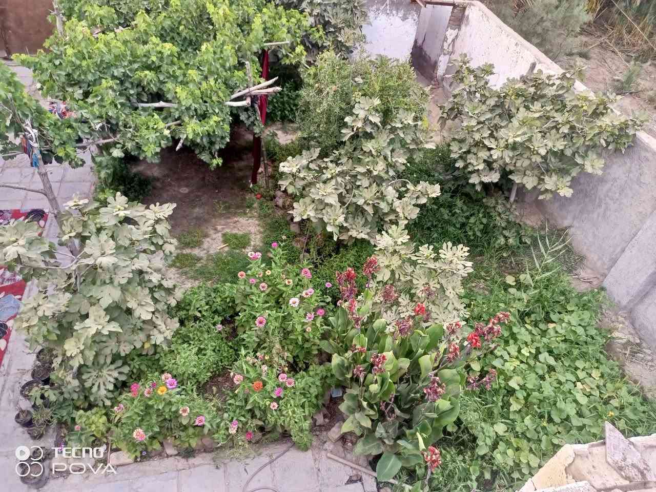 السلام عليكم 
قطعة أرض للبيع طابو اسود بستنة المساحة دونم(2500 متر مربع مع البيت بناء قديم يتگون من ثلاث اغرف صالة مطبخ صحيات وحديقة ) - متوفر جميع الخدمات المكان الرميثة منطقة الصويحية قريب جداً على مركز المدينة 
#للاستفسار واتساب***********
