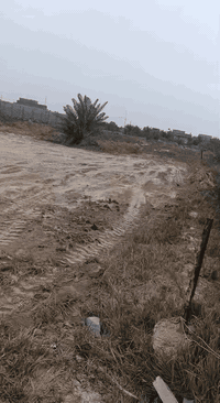 السلام عليكم متاح دونم اله ميه. متوفر ماي وكهربا. وبيهه. نخل انواع.  المكان قرب سيد مجيد الموسوي قضاء السدير ***********
