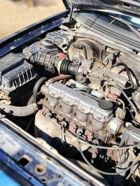 اسبرو • ١٩٩٥ • بابل المسيب