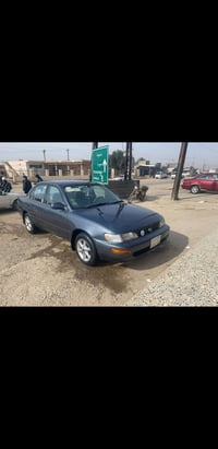 كورولا • مكفولة • واسط