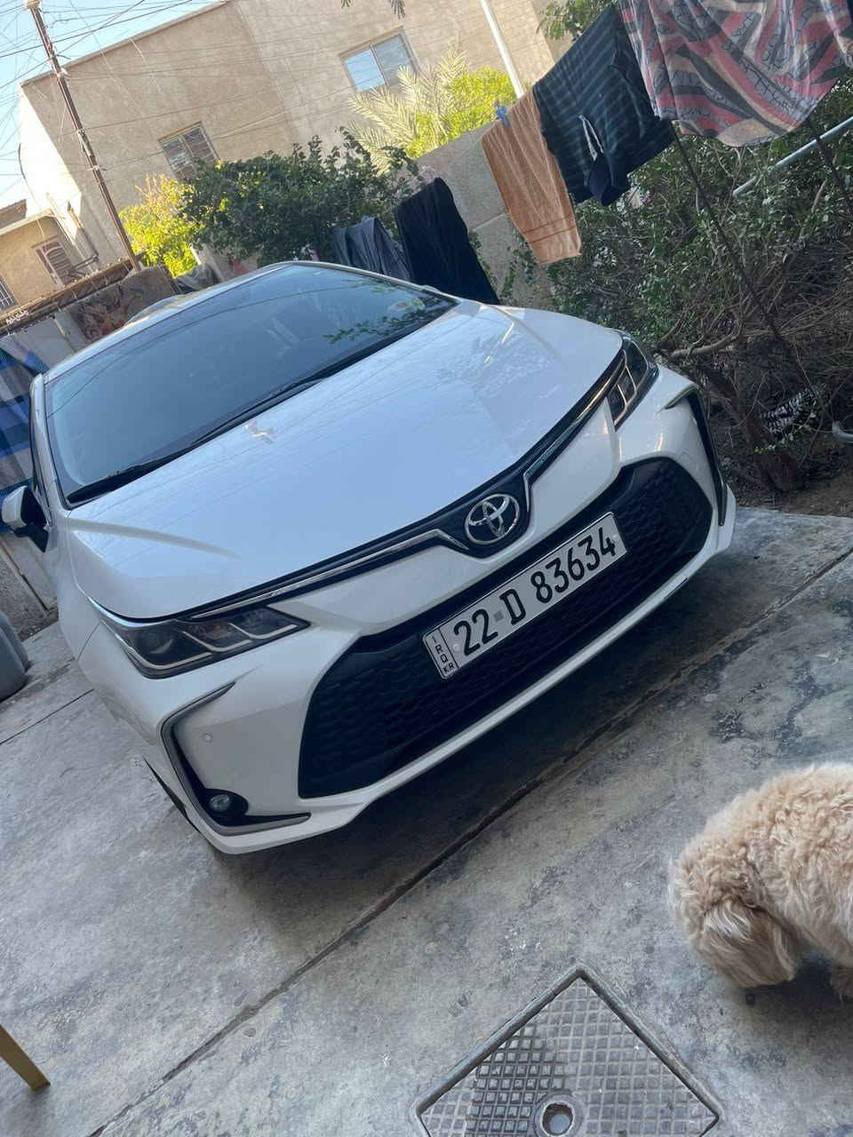 سياره كورلا 2023
فول فول مواصفات 
مكفوله كفاله عامه
ماشيه 20
مابيهة ولا خدش 
سياره بانزين خليجي
السعر180
***********
