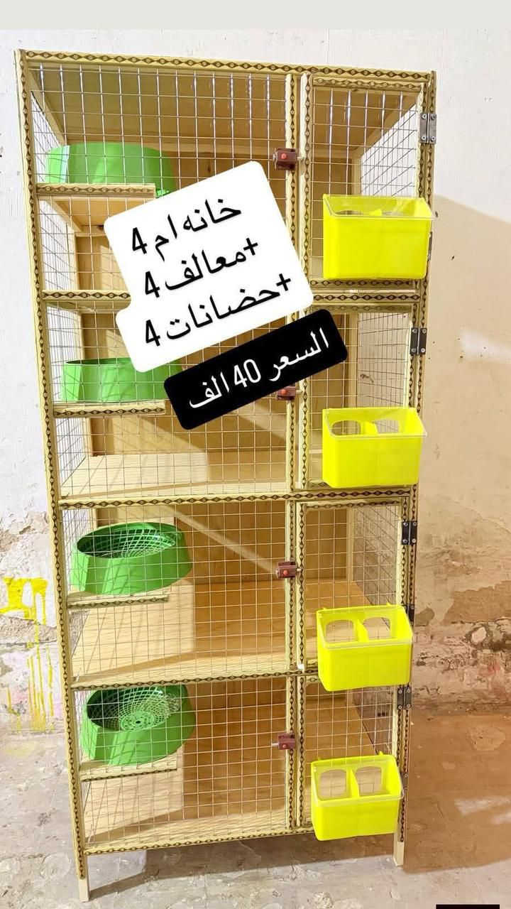 ياالله اللهم صلِّ على محمد وآل محمد 🌺
متاح خانات ♥ اقفاص بلابل جمله مفرد عنوانه بغداد الحريه  ..... توصيل موجود داخل بغداد والكروه حسب المنطقه الاتصال***********///////‏‪***********
