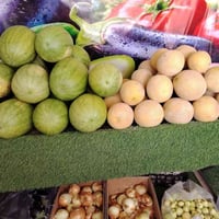 مسواك • تازه ونظيف • توصيل عفك