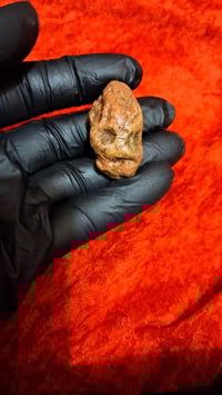 حجر سلطاني • مصور واضح