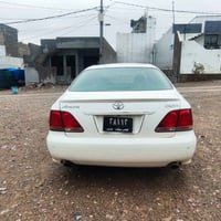 كراون • ٨٢ • سبورت