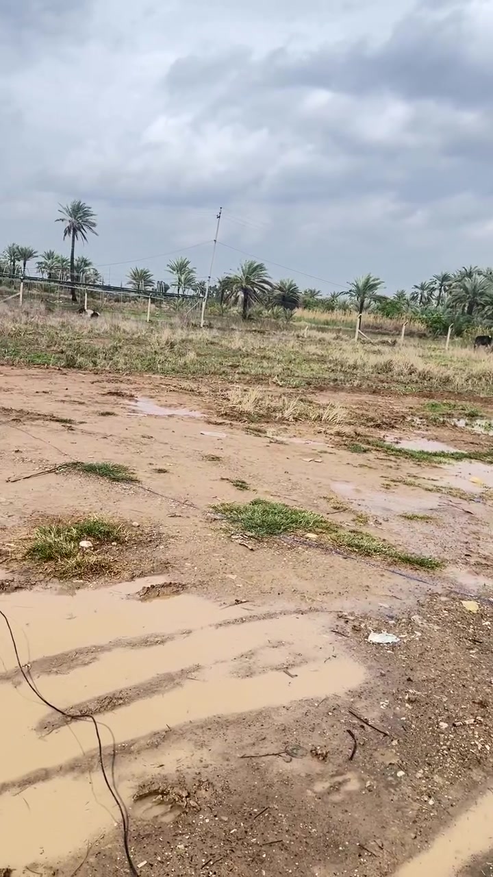 سلام عليكم نص دونم طابو صرف زراعي للبيع العنوان المدائن منطقة التويثة خدمات كاملة الاستفسار ***********
