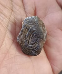 أحجار ملاكط النباعي ذمه يوجد توصيل  جميع المحافظات ٠٧٧٦٢٤٣٤٩٩٦