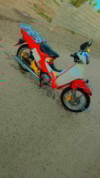 سلفيز • ٢٠١٧ • الضلوعية