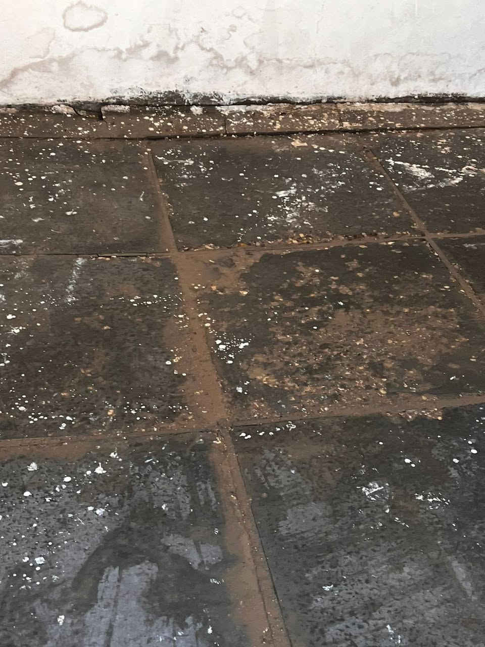 يالله 
السلام عليكم 
بيت زراعي للبيع 
المساحة(125)م
البيت بي غرفة ومطبخ وصحيات 
بي ساحة فارغة إذا تريد تكمل البنيان
الموقع (حي ابو سكينة)
نوع الدار (زراعي )
الدار بحاجة إلى ترميم بسيط 
للاستفسار الاتصال على الرقم (***********)
أو المراسلة على الخاص
