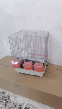 07755603309 بغداد, العراق