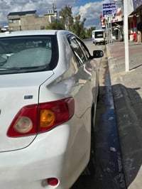 كورلا • ٢٠١٠ • رقم شمالي