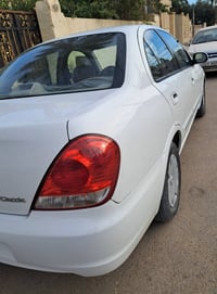 صني • ٢٠١٠ • ضرر امامي