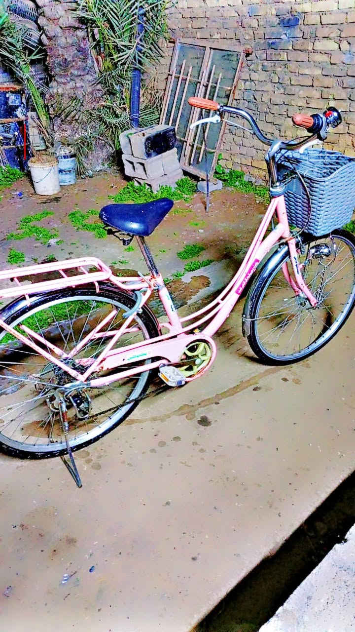 وين اللي يدور حلو
بايسكل 26 اللون وردي بناتي حساس بداله شغالات تايرات وجوابه جدد وياله لشه عدلات مطابقات مختمات 
السعر 110 وبي مجال
العنوان بعقوبة التحرير 
***********
