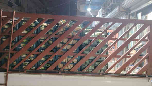 السلام عليكم محجر كيه فحل رتفاعه ١١٠ محجر جديد ***********
