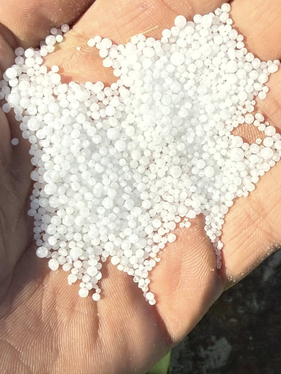 شركه البديري يوجد عراقي بأسعار مناسبه***********
