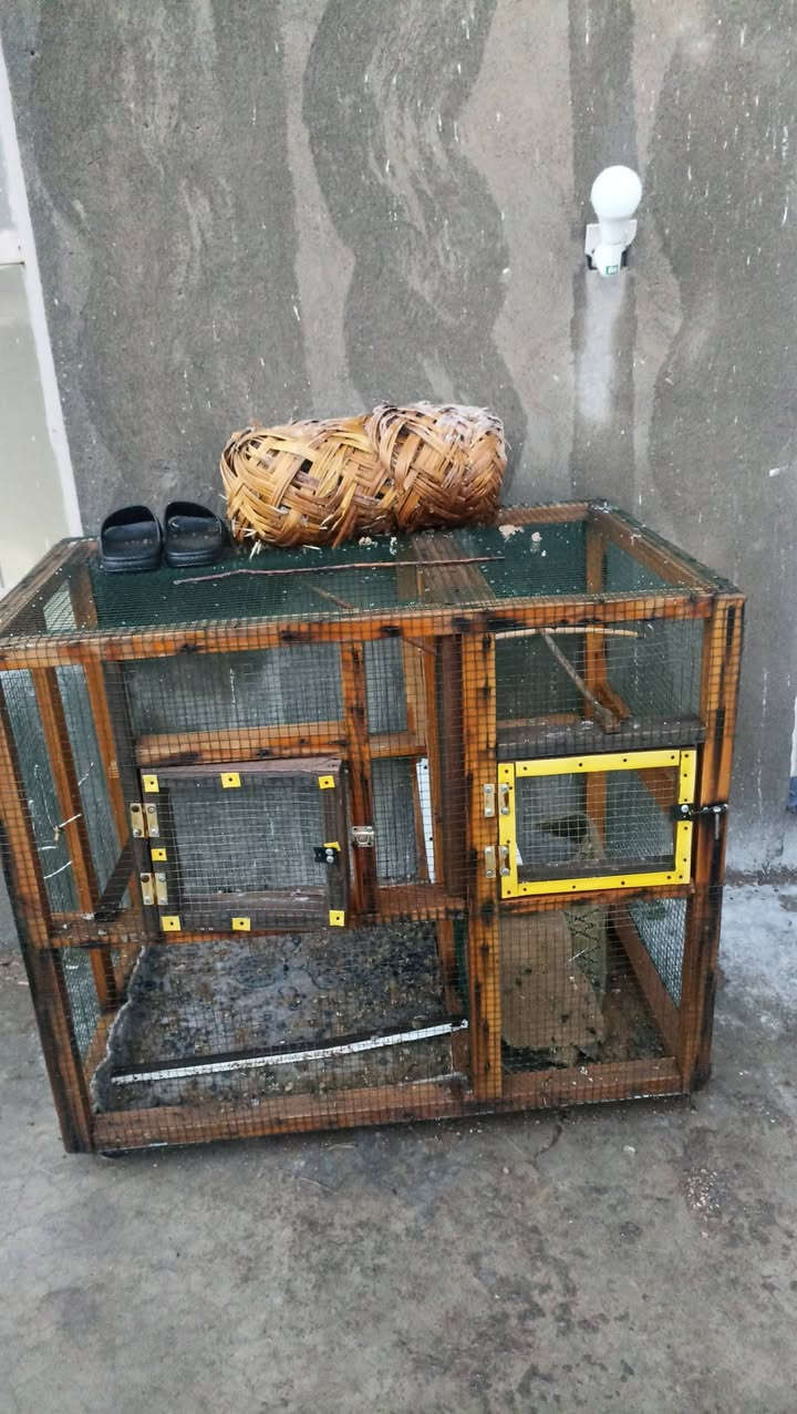 بو فروشتنه سعرى 20هه زاره


**إذا كنت صاحب هذا الإعلان وتريد حذفه لأي سبب، رجاءا أرسل رسالة إلى الدعم الفني**