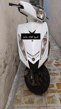 وتساب 07713474681