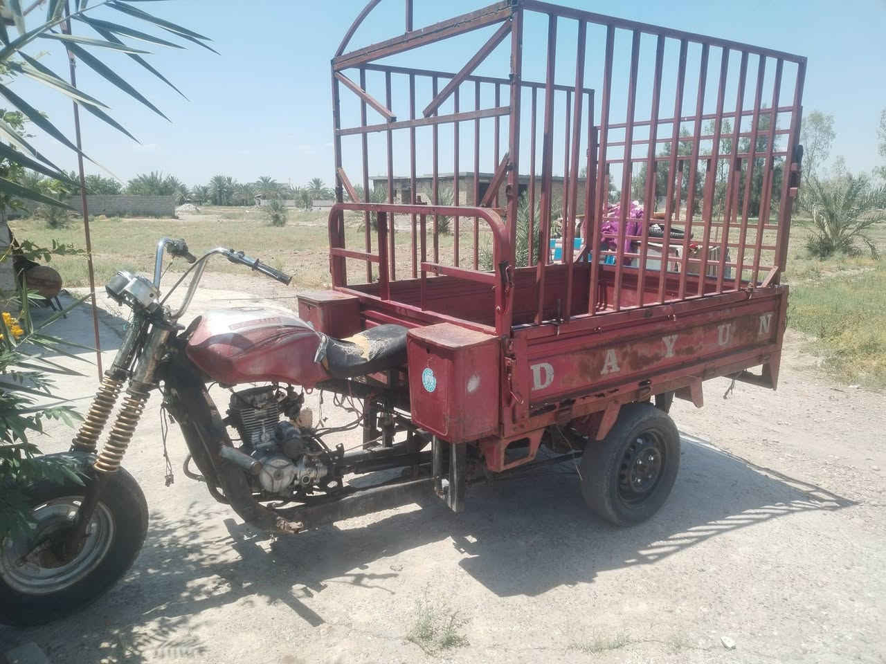 ستوته البيع دايون جهزه بس عايزه كهربايات 750بيه مجال ***********

