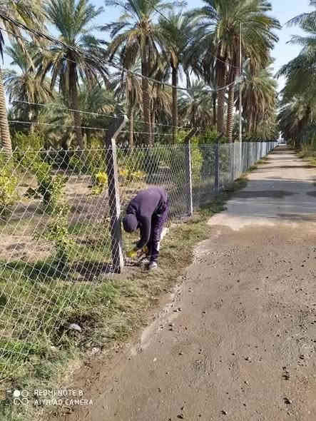 السلام عليكم 
معمل النور لعمل ونصب اسيجه BRC بيارسي بكافه الاحجام والقياسات بجوده عاليه وبأسعار مناسبه  لتسيج كافه المزارع والحدائق والبساتين وقطع الاراضي في جميع المحافظات الاستفسار خاص او الاتصال على الرقم *********** حلة
