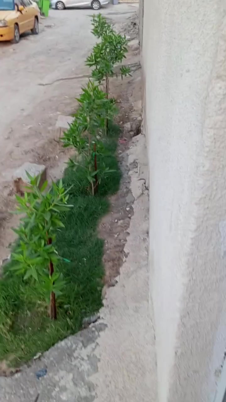 سلام عليكم بيت 80 متر طابق واحد العنوان بغداد الدوره الهواشه شارع ابو دوخه مقابل جامع المصطفى سعر 30 مليون وبي مجال ***********
