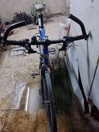 باسكل رينو • نواقص بسيطة • الحرية الدباش