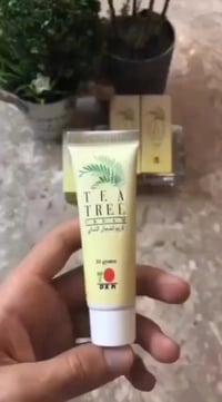 كريم شجرة الشاي • مضاد للفطريات • يعالج حبّ الشباب