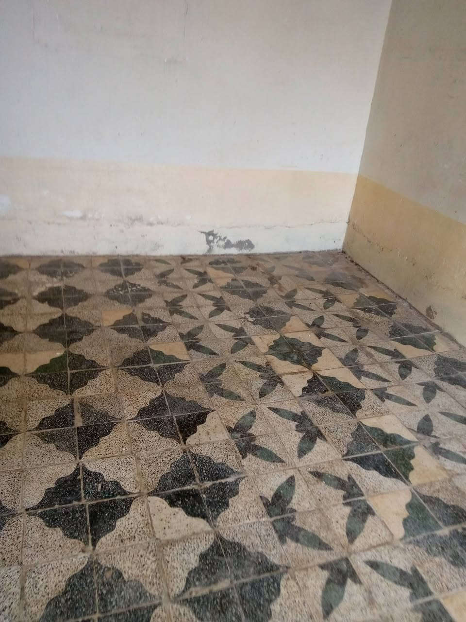 يوجد لدينا بيت للايجار في حي الانتصار مقابل حي الميثاق 271متر السعر 225الف مكتب احمد فتحي للعقار إدارة ابو حسين الجريسي مقابل كاسر الاسعار الجديد رقم ***********او***********
