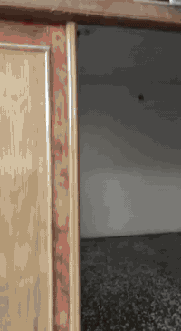 البكرالي • ٢٠٠م • اصلاح زراعي