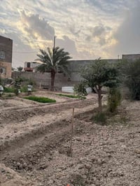 أبي الخصيب باب عباس • نصف دونم • واجهة 23م تجاري